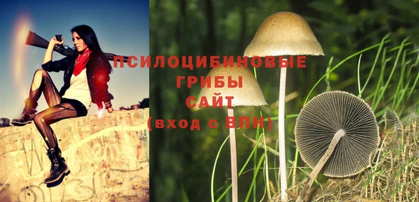сатива Алексеевка
