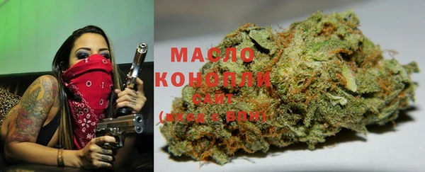 сатива Алексеевка