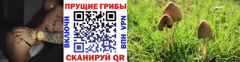 магазин  наркотиков  Первоуральск  Галлюциногенные грибы GOLDEN TEACHER 